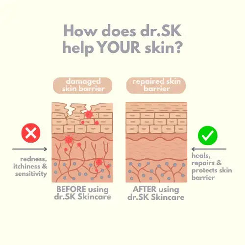 Diagram showing the effect of dr.SK skincare on a damaged skin barrier before and after use.