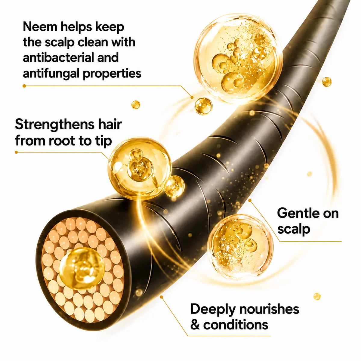 A black hair care shown on a white background with callout text and floating gold droplets explaining benefits: keeping the scalp clean, strengthening hair from root to tip, gentle on the scalp, and deeply nourishing. No person, animal, or real environment is present, so this is Product/Packaging rather than Lifestyle.
